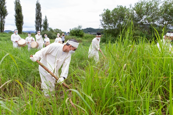 청양 인양리 주민들 전국 유일 ‘갈대 후리는 소리’ 계승 시연 모습