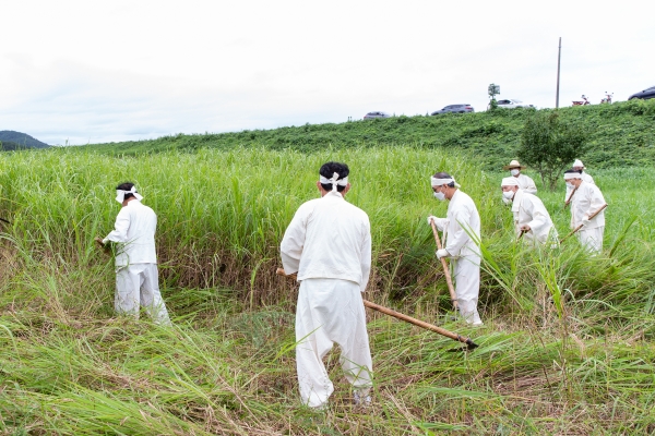 청양 인양리 주민들 전국 유일 ‘갈대 후리는 소리’ 계승 시연 모습