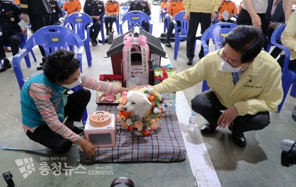 반려견 백구의 명예 119 구조견 임명식(사진=충남도)