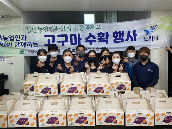 고구마 수확장면 및 나눔활동 장면