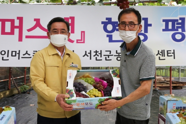 지역특화작목 육성 샤인머스캣 현장 평가회 개최