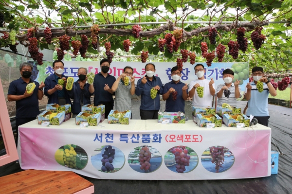 지역특화작목 육성 샤인머스캣 현장 평가회 개최