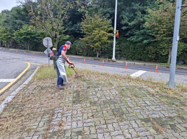 관내 도로 예초작업 추진 모습