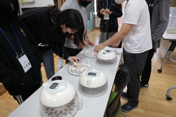 꿈나래교육원, 줄탁동시 행사