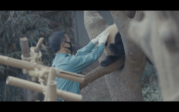 한국영상대학교 영상촬영조명과 캡스톤디자인 비드라마 4팀이 만든 ‘동물원 어벤저스 사육사’ 영상 중 한 장면