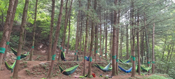 국립산림치유원 추석연휴 가족 프로그램 '마음 모아 숲' /산림청한국산림복지진흥원 국립산림치유원 제공