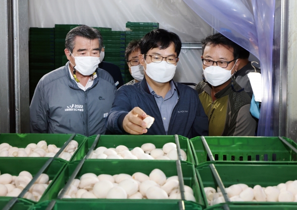 허태웅 농촌진흥청장, 보령 영농현장 찾아 (농장명-참사랑친환경농업회사법인)