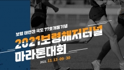 11월 13일 ‘보령해저터널 마라톤대회’ 포스터