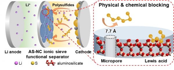 리튬-황 이차전지에서의 기능성 분리막으로서의 역할 모식도