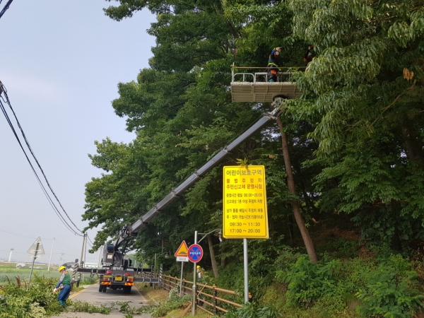 송곡초등학교 통학로 주변 위험 수목 제거 작업 진행 장면