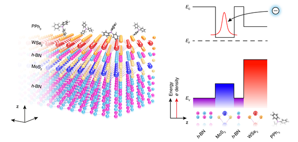 밴드 정렬된 원자층 반도체 이종접합구조 모식도