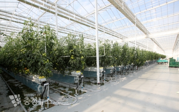원북면 스마트팜 모습
