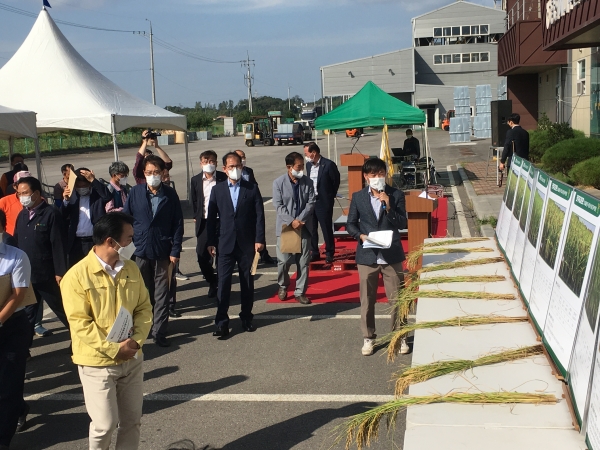 당진 쌀 품종선발 현장 평가회4 (우측에서 네번째 파란 와이셔츠에 왼손에 봉투 쥐신 분 윤동현 당진부시장)