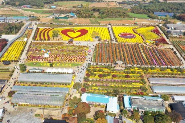 지난 2019년 열린 서산국화축제