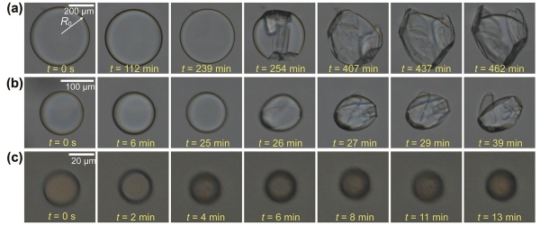 이멀젼의 크기별 계면에서 자라나는 소금 결정의 패턴에 대한 비교 그림