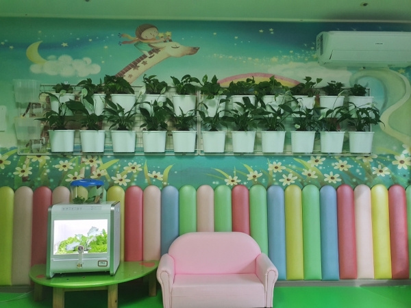 무동력 자연급수 화분