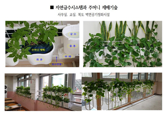 무동력 자연급수 화분