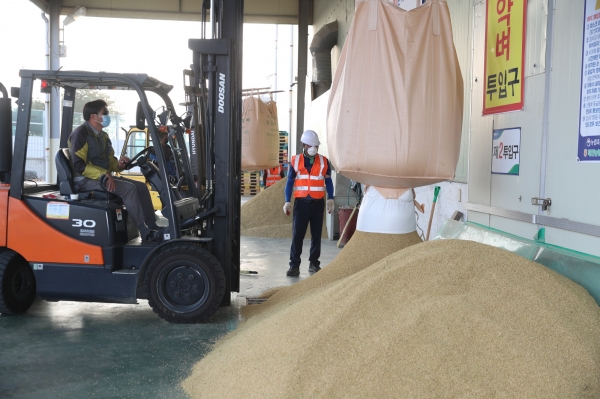 지난해 공공비축미곡 수매 모습.