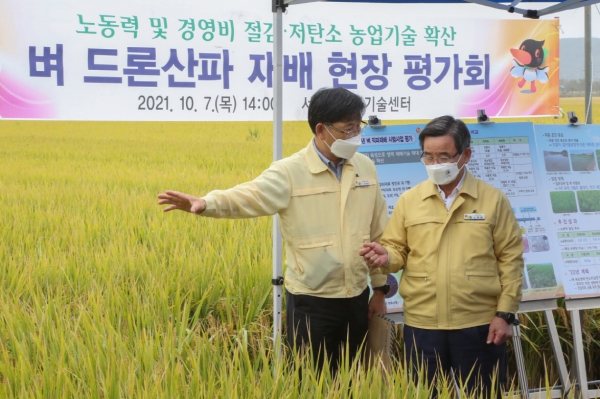 서천군농업기술센터, 벼 드론 산파 재배 현장평가회 개최