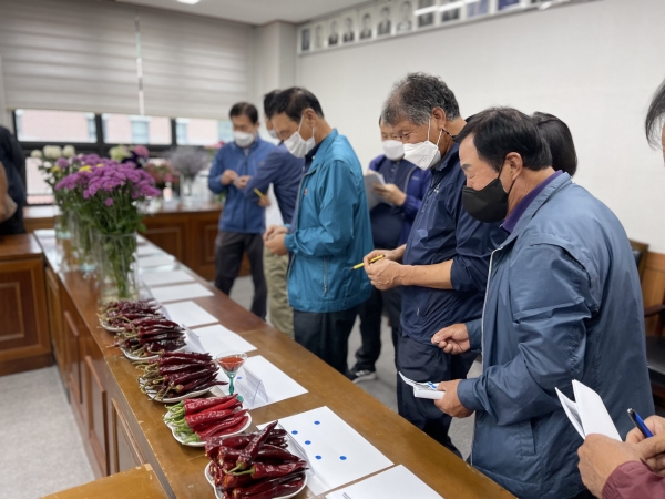 채소화훼분야 시범사업 평가회 개최 모습