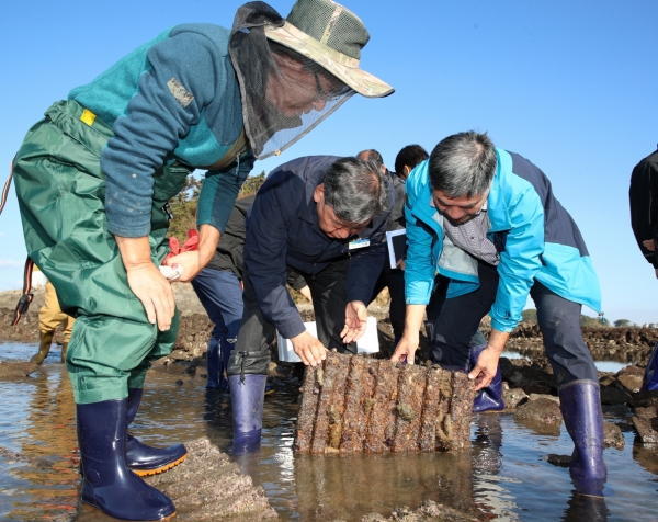 지난해 해삼종자 방류 모습