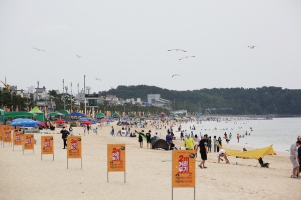 2021년 대천해수욕장 검역소 운영 모습