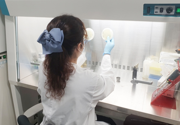 개량된 효소를 선별하고 있는 연구원