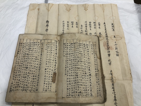 임영대군자손록과 전주이씨호구단자