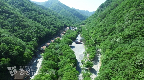 금산군 산림타운