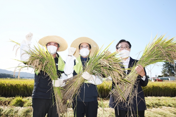 김동일 보령시장, 벼 수확의 시연 현장 동참 모습