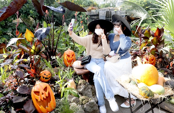 열대온실에 마련된 핼러윈 테마 포토존