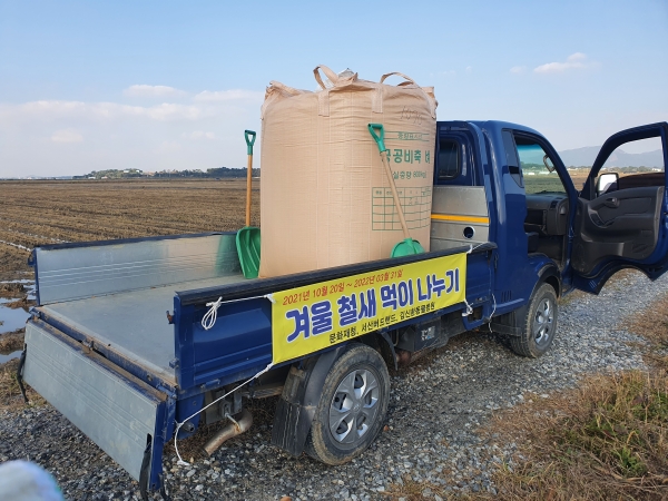 20일 천수만 지역에서 시작된 겨울철새 먹이주기