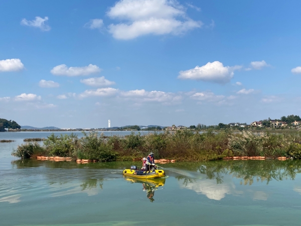 녹조제거제 살포(풍년지)
