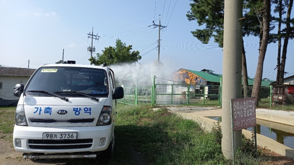 시 차량 소독사진