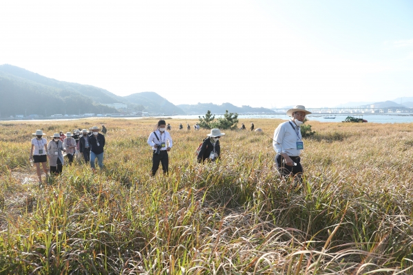 국제하구심포지엄 낙동강 생태탐방 모습