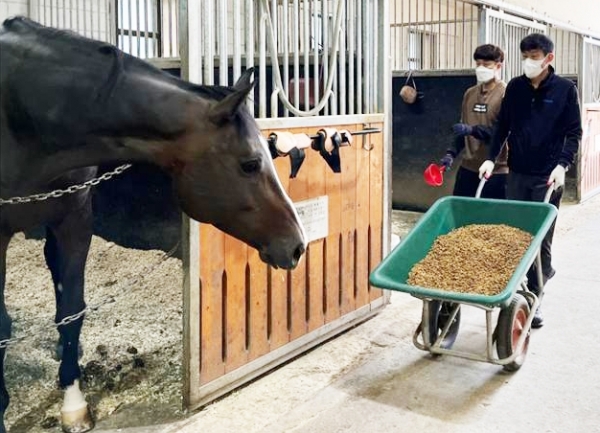 대전시설관리공단 임재남 이사장이 사료 배급을 하고 있다.