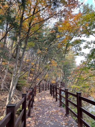 알프스마을 하늘다리 모습