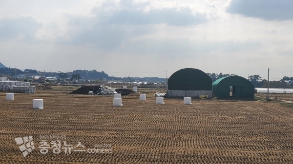 서산시 운산면 한 농지에 콘크리트 옹벽 하우스를 건축해 축분을 보관 중 이며 내부에 축분이 가득 차 옆 농지까지 야적하고 있다.(사진=김정식기자)