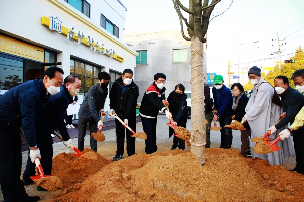 3일 운산면 작은도서관 앞에서 개심사 청벚꽃 후계목을 심는 모습