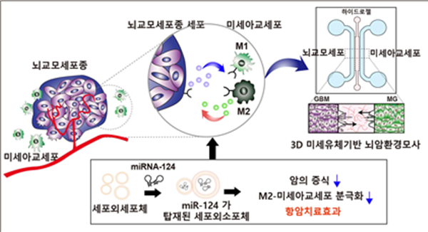 뇌교모세포종과 미세아교세포 간의 환경조절을 위한 3차원 세포칩 기반 약물평가 플랫폼 모식도