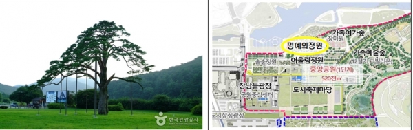 정이품송(正二品松 ) 과 세종중앙공원 내 명예의 정원