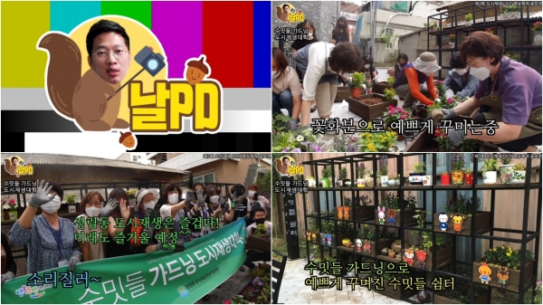 ‘2021 도시재생 UCC 영상 공모전’에서 우수상을 받은 유튜브 ‘대전서구’ 날PD의 ‘정림동 도시재생 수밋들 가드닝’ 캡처