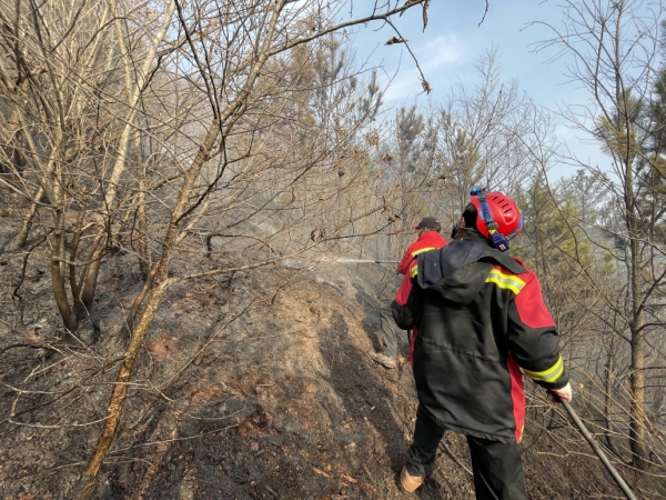 산불진화작업 자료사진