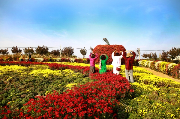지난 6일 서산국화축제장을 방문한 시민들이 사과 조형물 앞에서 포즈를 취하는 모습