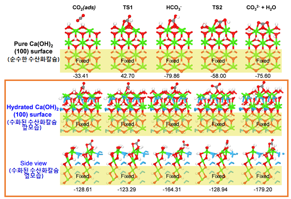 그림3. 이론적 계산을 통해 밝힌 순수 수산화칼슘과 수화된 수산화칼슘의 탄산화반응 메커니즘 비교도