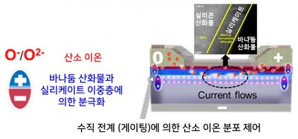 멤트랜지스터 구조 및 동작 원리