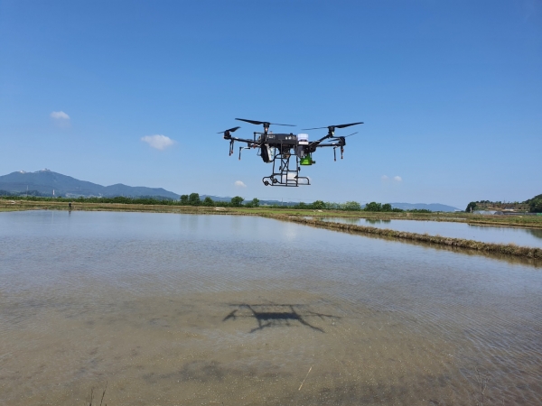 지난 직파 재배 드론활용 시범 사진
