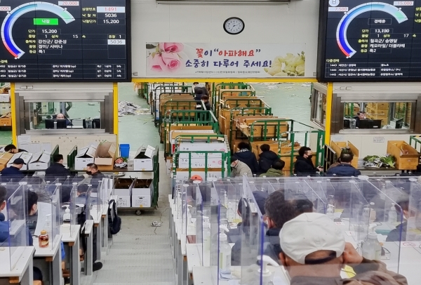 절화류 야간 경매 현장 사진