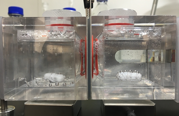 산성화 기반 해수전해조. 해수 산성화로 인해 분산형태의 무기침전물 형성이 크게 억제되어 투명한 상태의 해수를 유지한다.