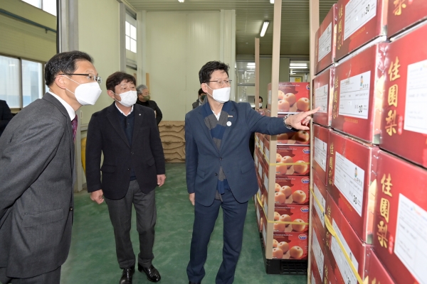 세종공주원예농협에서 ‘고맛나루 배’의 대만 수출을 위한 공동선별과 선적